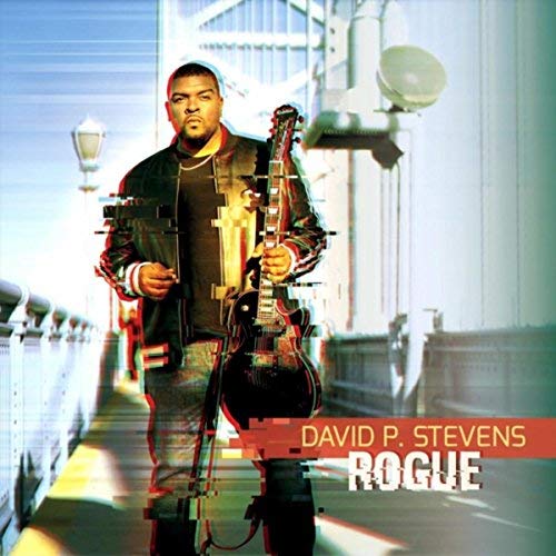 DAVID P. STEVENS / ROGUE (CD-R)