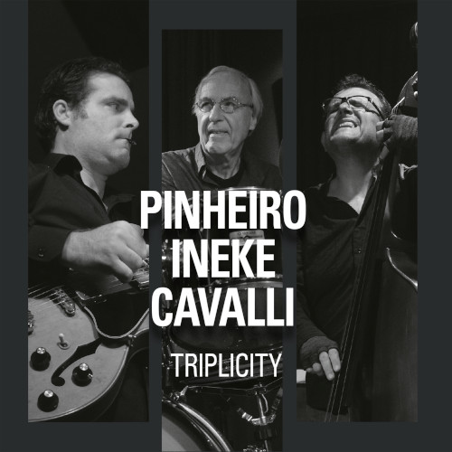 RICARDO PINHEIRO / リカルド・ピニェイロ / TRIPLICITY / TRIPLICITY