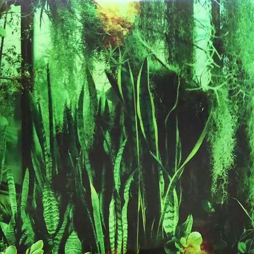 PROMISE RING / プロミス・リング / WOOD/WATER (2LP)