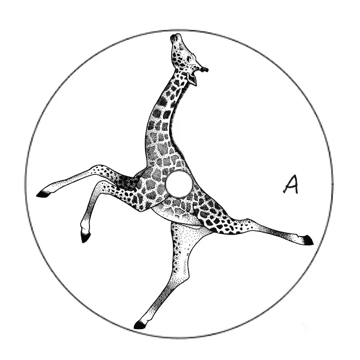 SUNE / MIMOSA KURIOSA EP