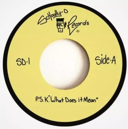 SCHOOLLY D商品一覧｜HIPHOP / 日本語RAP｜ディスクユニオン  