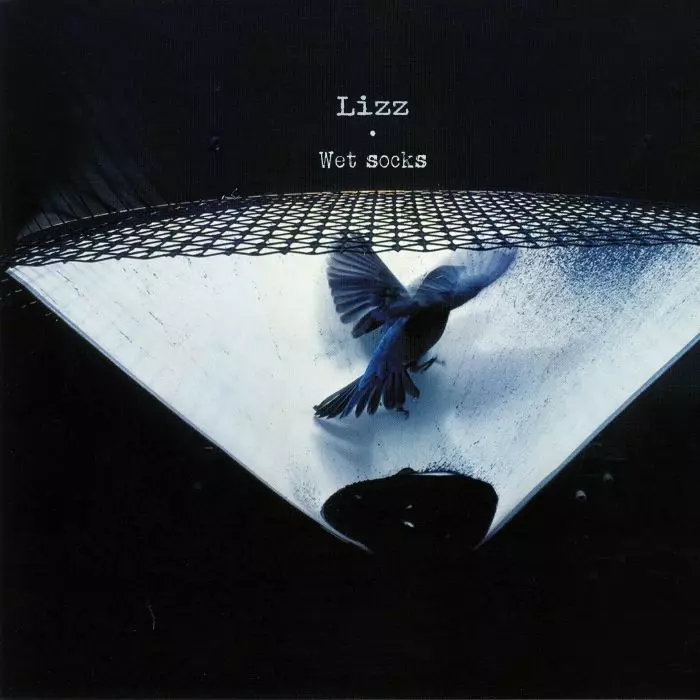 LIZZ / WET SOCKS
