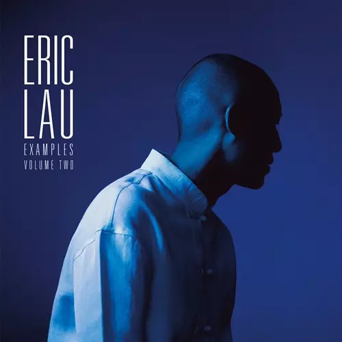 ERIC LAU / エリック・ロウ / EXAMPLES VOLUME TWO "LP"