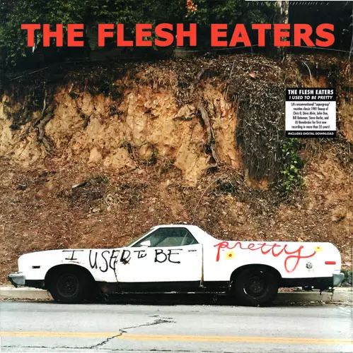 FLESH EATERS / フレッシュイーターズ / I USED TO BE PRETTY