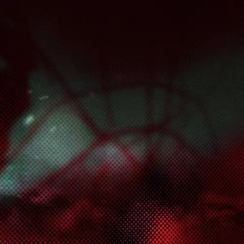 WAREIKA / ワレイカ / SHAMANIA (VILLALOBOS & MELCHIOR REMIX)