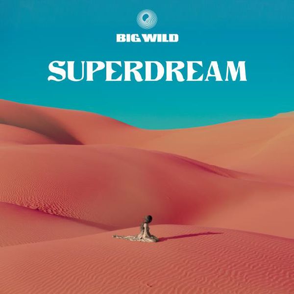 BIG WILD / SUPERDREAM (CD)