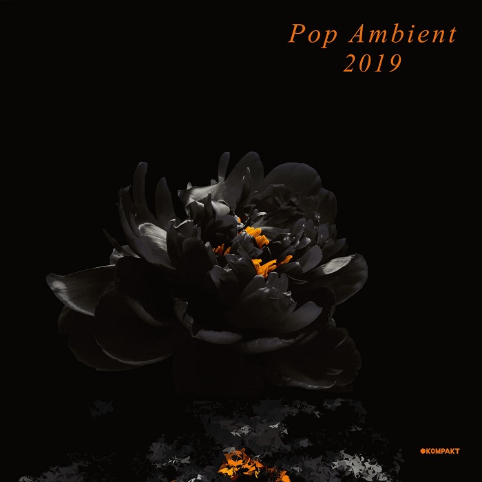 V.A.(POP AMBIENT) / POP AMBIENT 2019 / Curated by Wolfgang Voigt (aka GAS)