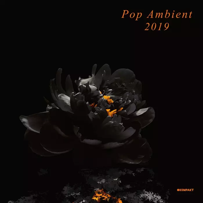 Pop Ambientシリーズ 9枚セット　ポップ・アンビエント　KOMPAKT Pop Ambientシリーズ 9枚セット ポップ・アンビエント KOMPAKT