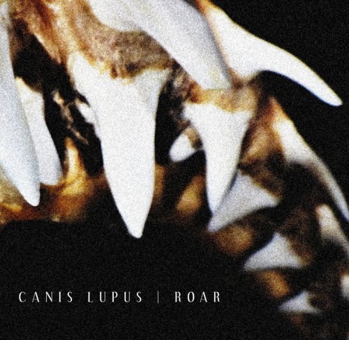 CANIS LUPUS / ROAR