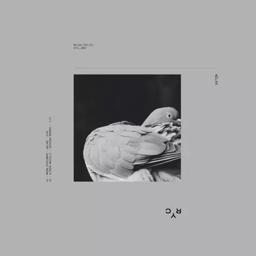 WRONG ASSESSMENT / ALFREDO MAZZILLI / NEWA / SKYRA / MILAN_TBILISI