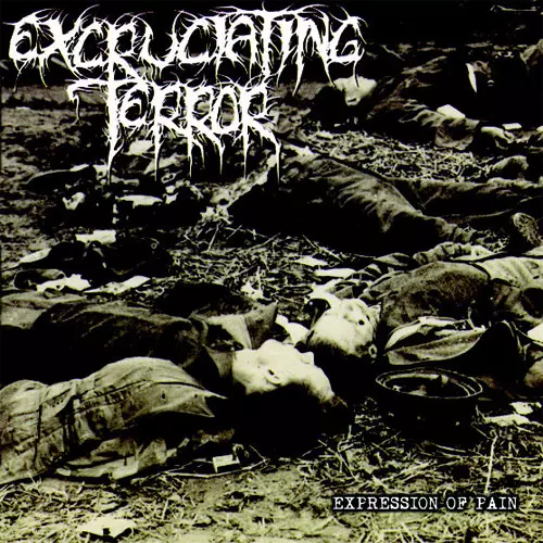 EXPRESSION OF PAIN (LP)/EXCRUCIATING TERROR｜PUNK｜ディスク