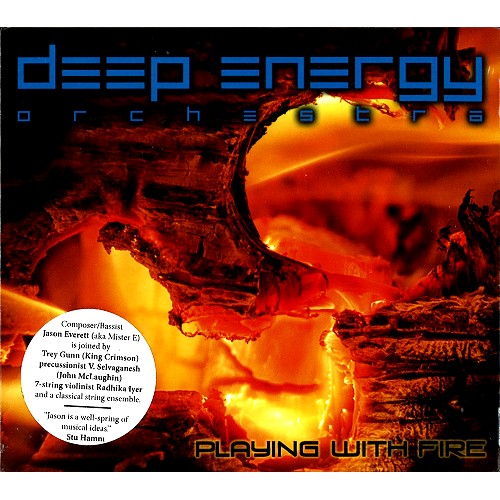 DEEP ENERGY ORCHESTRA / PLAYING WITH FIRE
