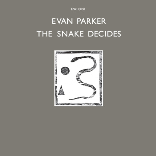 EVAN PARKER / エヴァン・パーカー / Snake Decides(LP)