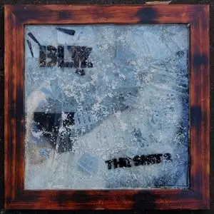 BLYY / 精神の光 / finger 12"