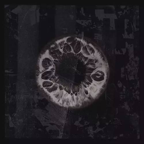 KAFIM / QINDEK / SIWEI / THOMAS HAYES / FORM V/A