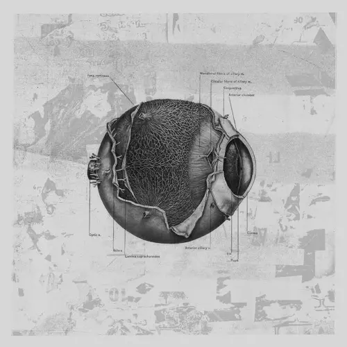 THOMAS HESSLER / BORDER ONE / PHARA / SP-X / FUNCTION V/A