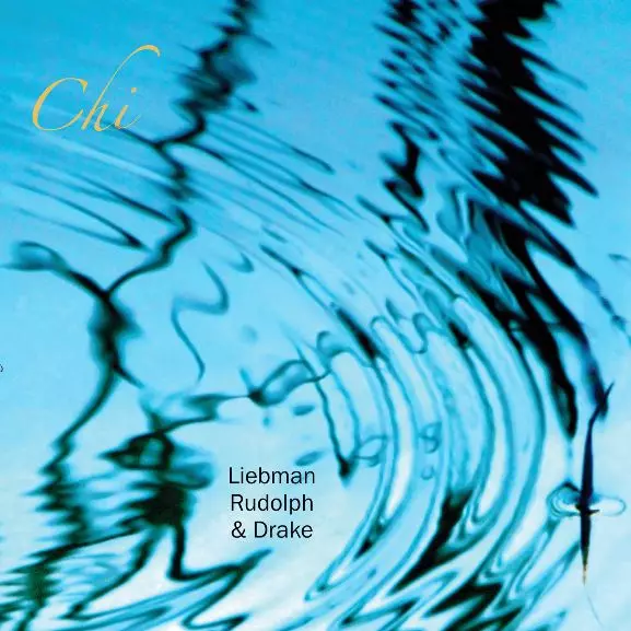 DAVE LIEBMAN (DAVID LIEBMAN) / デイヴ・リーブマン / Chi(LP)