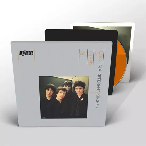 BUZZCOCKS / バズコックス / ANOTHER MUSIC IN A DIFFERENT KITCHEN