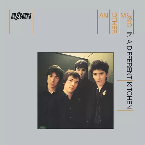 BUZZCOCKS / バズコックス / ANOTHER MUSIC IN A DIFFERENT KITCHEN (LP 2018 REMASTERED VERSION)