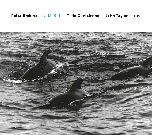 PETER ERSKINE / ピーター・アースキン / Juni