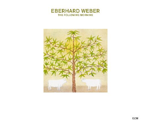 EBERHARD WEBER / エバーハルト・ウェーバー / Following Morning