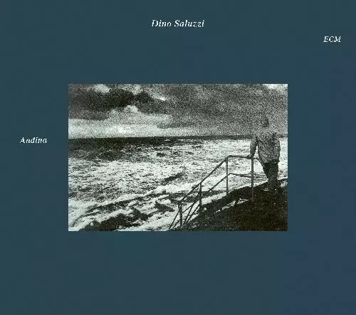 DINO SALUZZI / ディノ・サルーシ / Andina