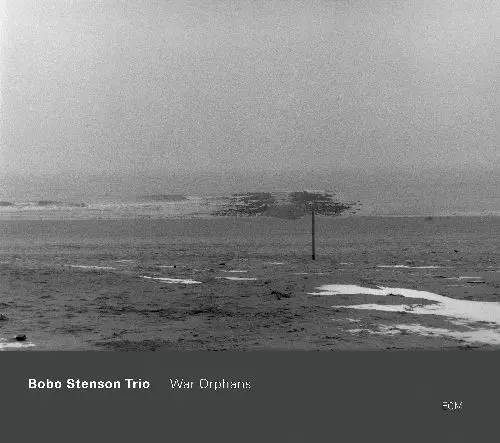 BOBO STENSON / ボボ・ステンソン / War Orphans