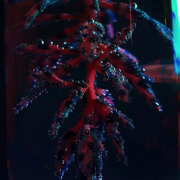 OBJEKT  / オブジェクト / COCOON CRUSH (CD)