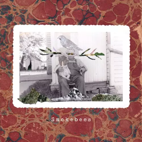 Smokebees / Imaginary Lights Never Fade