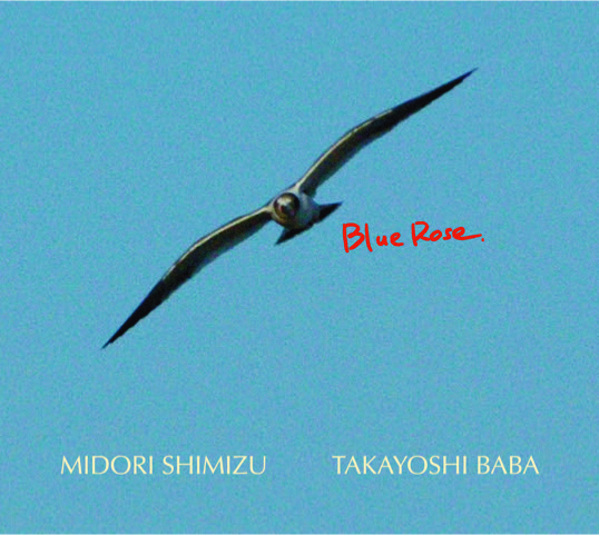 MIDORI SHIMIZU / 清水翠 / Blue Rose.