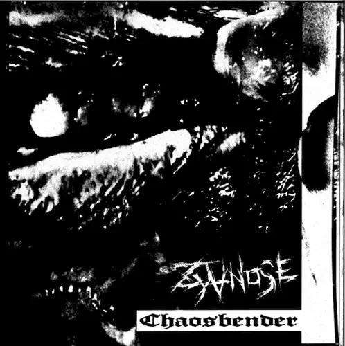 ZYANOSE / CHAOS BENDER (7")