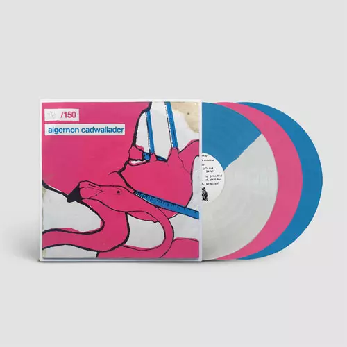 ALGERNON CADWALLADER / アルジャーノン・キャドウォラダー / ALGERNON CADWALLADER (TURQUOISE / COOL GREY SPLIT VINYL)
