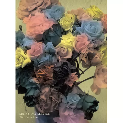 Sunny Day Service / サニーデイ・サービス / BIRTH OF A KISS(DVD)