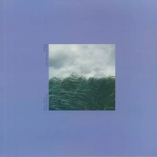 BARTOSZ KRUCZYNSKI / バルトシュ・クルチンスキー / SELECTED MEDIA 2016-2018