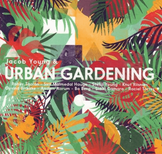 JACOB YOUNG / ヤコブ・ヤング / Jacob Young & Urban Gardening(LP)