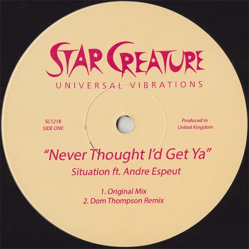 SITUATION Feat, ANDRE ESPEUT / NEVER THOUGHT I'D GET YA  (12")