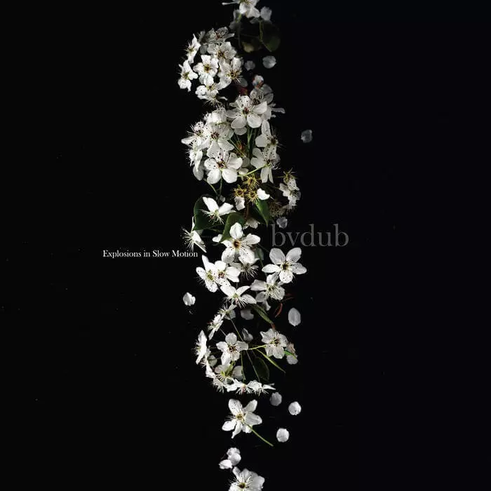 bvdub / ビーブイダブ / EXPOLOSIONS IN SLOW MOTION