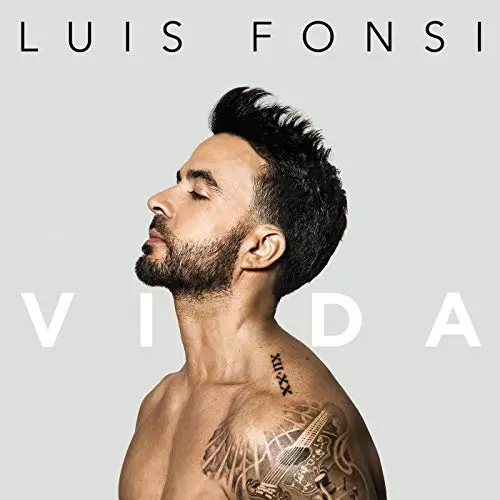VIDA/LUIS FONSI/ルイス・フォンシ/LP｜LATIN/BRAZIL/WORLD｜ディスク