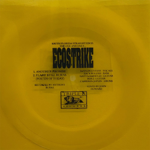 ECOSTRIKE / ANOTHER PROMISE (FLEXI)