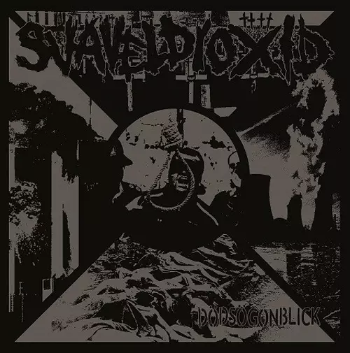 SVAVELDIOXID / DODSOGONBLICK (LP)