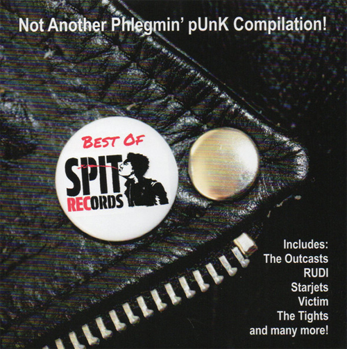 V.A. / NOT ANOTHER PHLEGMIN' PUNK COMPILATION