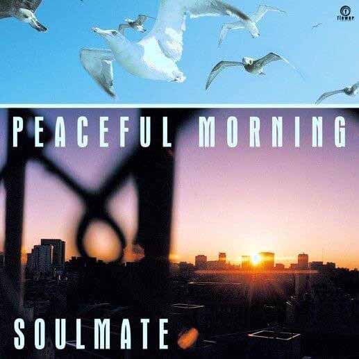 SOULMATE (DJ KIYAMA) / PEACEFUL MORNING