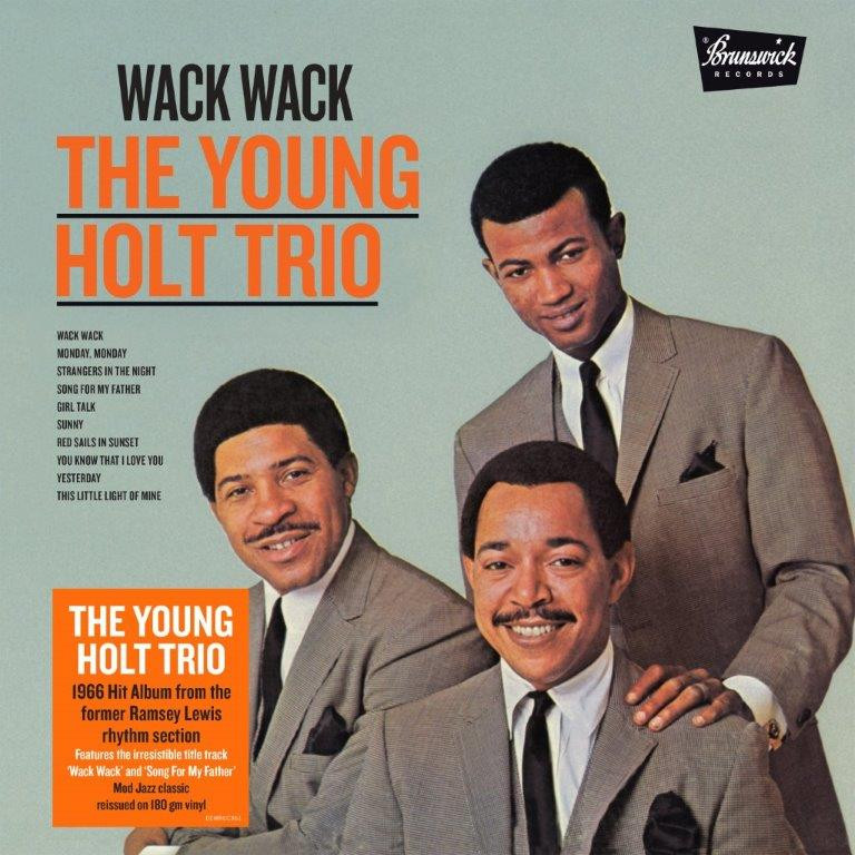 YOUNG HOLT TRIO / ヤング・ホルト・トリオ / WACK WACK (LP)