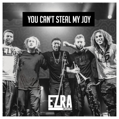 EZRA COLLECTIVE / エズラ・コレクティヴ / You Can’t Steal My Joy(2LP)