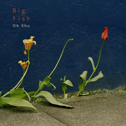 王舟 / Big fish