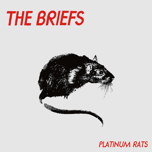 BRIEFS / ブリーフス / PLATINUM RATS