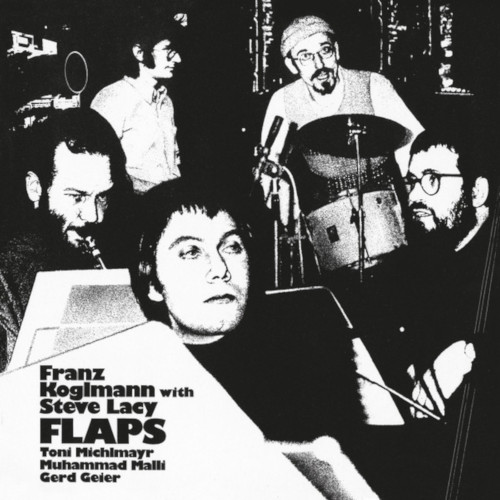 FRANZ KOGLMANN / フランツ・コグルマン / Flaps(LP)