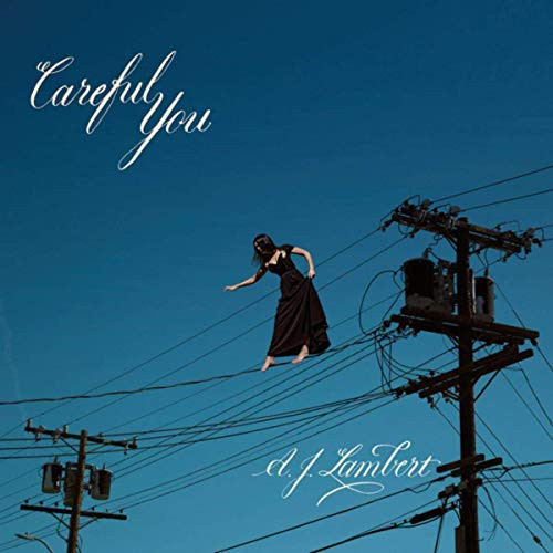 AJ LAMBERT / Careful You(LP)