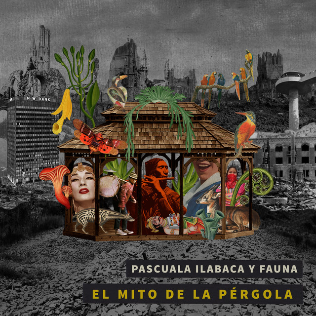 PASCUALA ILABACA / パスクアラ・イラバカ / MITO DE LA PERGOLA