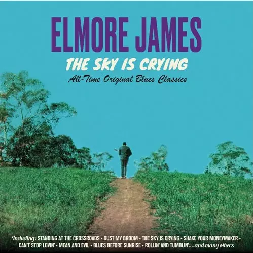 ◾️ブルース名盤□ELMORE JAMES □エルモア・ジェームス □Someth